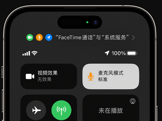 郸城苹果授权维修网点分享iPhone在通话时让你的声音更清晰 