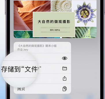 郸城apple维修中心分享iPhone文件应用中存储和找到下载文件