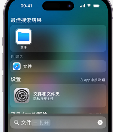 郸城apple维修中心分享iPhone文件应用中存储和找到下载文件