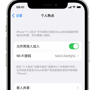 郸城apple服务站点分享iPhone上个人热点丢失了怎么办