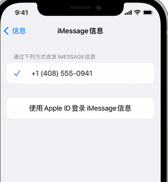 郸城apple维修iPhone上无法正常发送iMessage信息