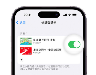 郸城apple维修点分享iPhone上更换Apple Pay快捷交通卡手绘卡面 