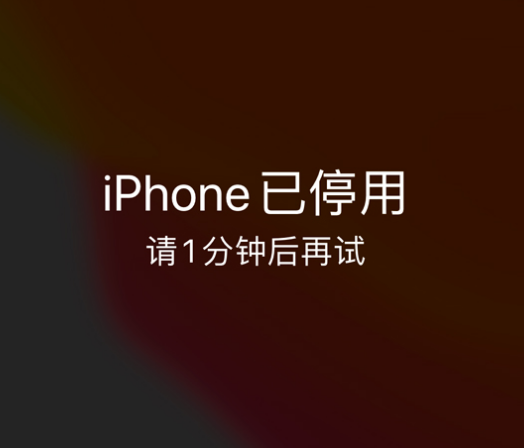 郸城苹果手机维修分享:iPhone 显示“不可用”或“已停用”怎么办？还能保留数据吗？ 