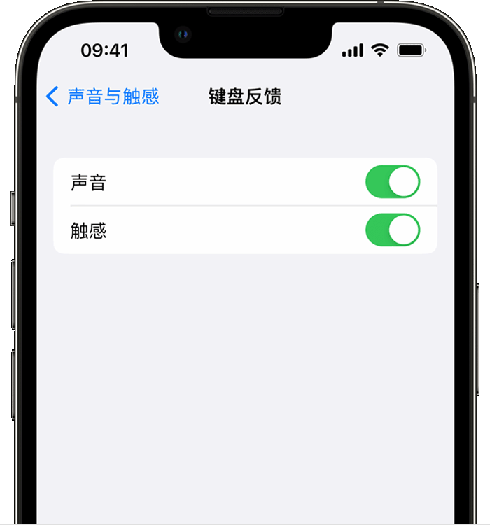 郸城苹果14维修店分享如何在 iPhone 14 机型中使用触感键盘 