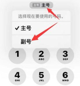 郸城苹果14维修店分享iPhone 14 Pro Max使用副卡打电话的方法 