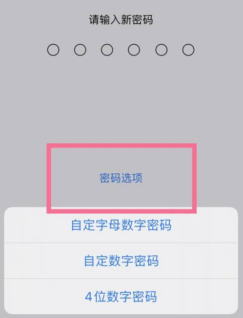 郸城苹果14维修分享iPhone 14plus设置密码的方法 