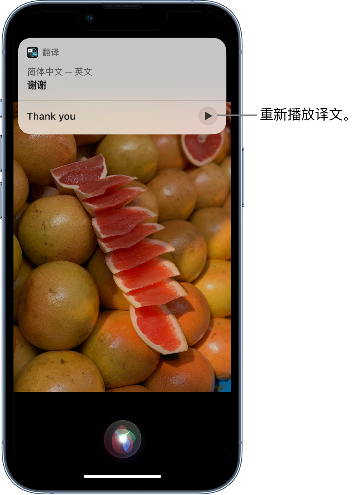 郸城苹果14维修分享 iPhone 14 机型中使用 Siri：了解 Siri 能帮你做什么 