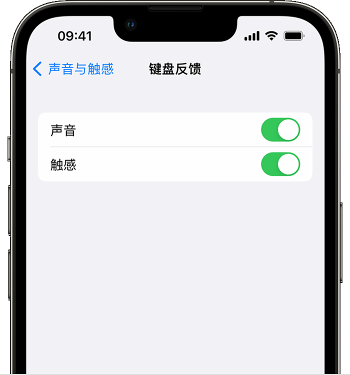 郸城苹果14维修分享iPhone 14 系列机型如何开启键盘声音或触感反馈 