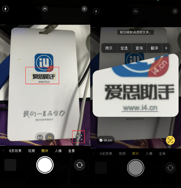 郸城苹果手机维修分享升级iOS 16后如何通过相机翻译文本 