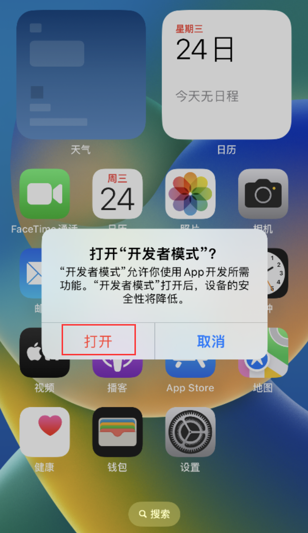 郸城苹果手机维修分享如何打开开发者模式 