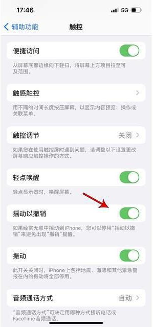 郸城苹果手机维修分享iPhone手机如何设置摇一摇删除文字 