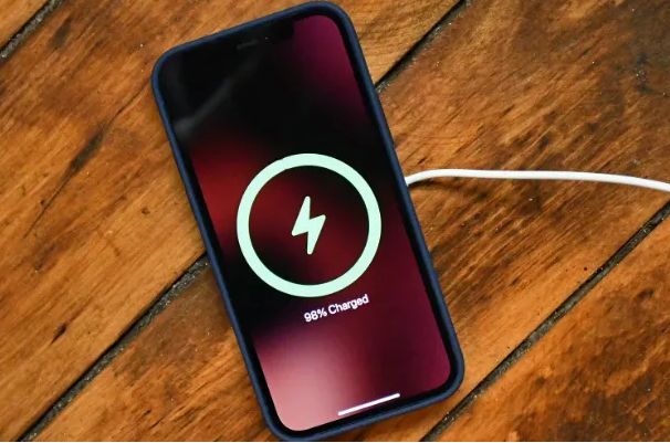 郸城苹果手机维修分享iPhone如何正确充电 