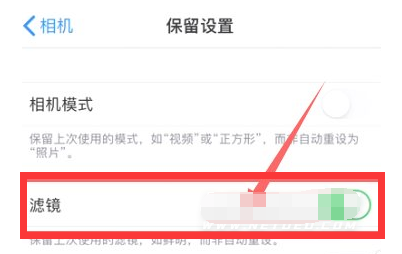 郸城苹果13维修分享iPhone13拍照有绿点是怎么回事 