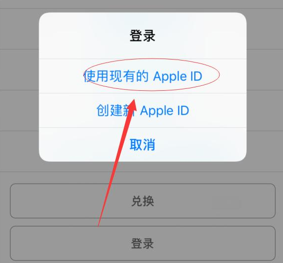 郸城苹果手机维修分享两台iPhone设备可以同时登录一个Apple ID吗 