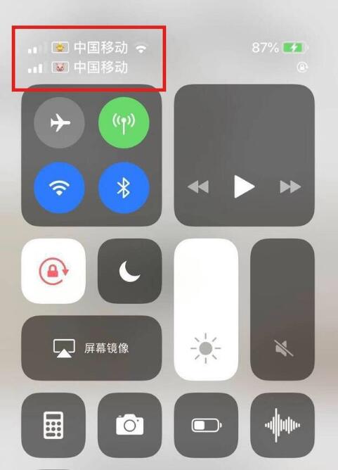郸城苹果手机维修分享为 iPhone 12 双卡设置标签 