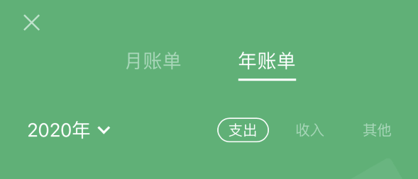 郸城苹果手机维修分享如何在 iPhone 上查看支付宝和微信年支出账单 
