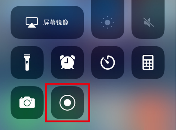 郸城苹果手机维修分享iPhone12录屏方法教程 