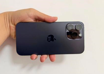 郸城苹果维修点分享iPhone 14 Pro Max黑屏少见故障盘点 